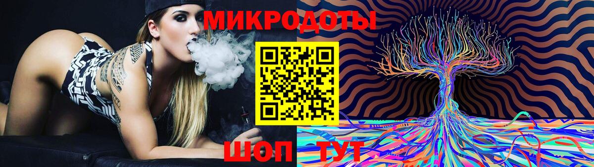 Псилоцибиновые грибы Psilocybe Кызыл