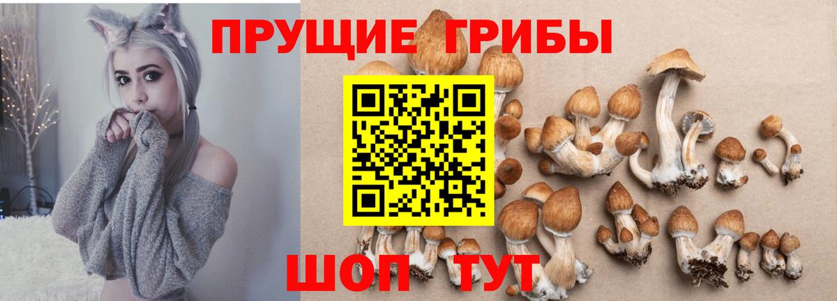 Кызыл  Галлюциногенные грибы Psilocybe  купить закладку  Вход с VPN 